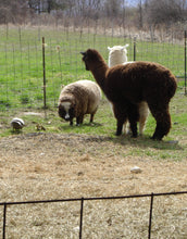 Load image into Gallery viewer, A TOUR OF THE FARM!