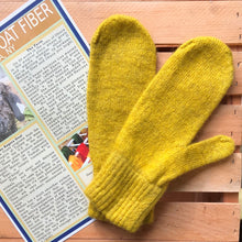 Load image into Gallery viewer, Mittens-Large-Mostly Mohair