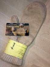 Load image into Gallery viewer, Mittens-Medium-Mostly Mohair