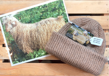 Load image into Gallery viewer, HF55