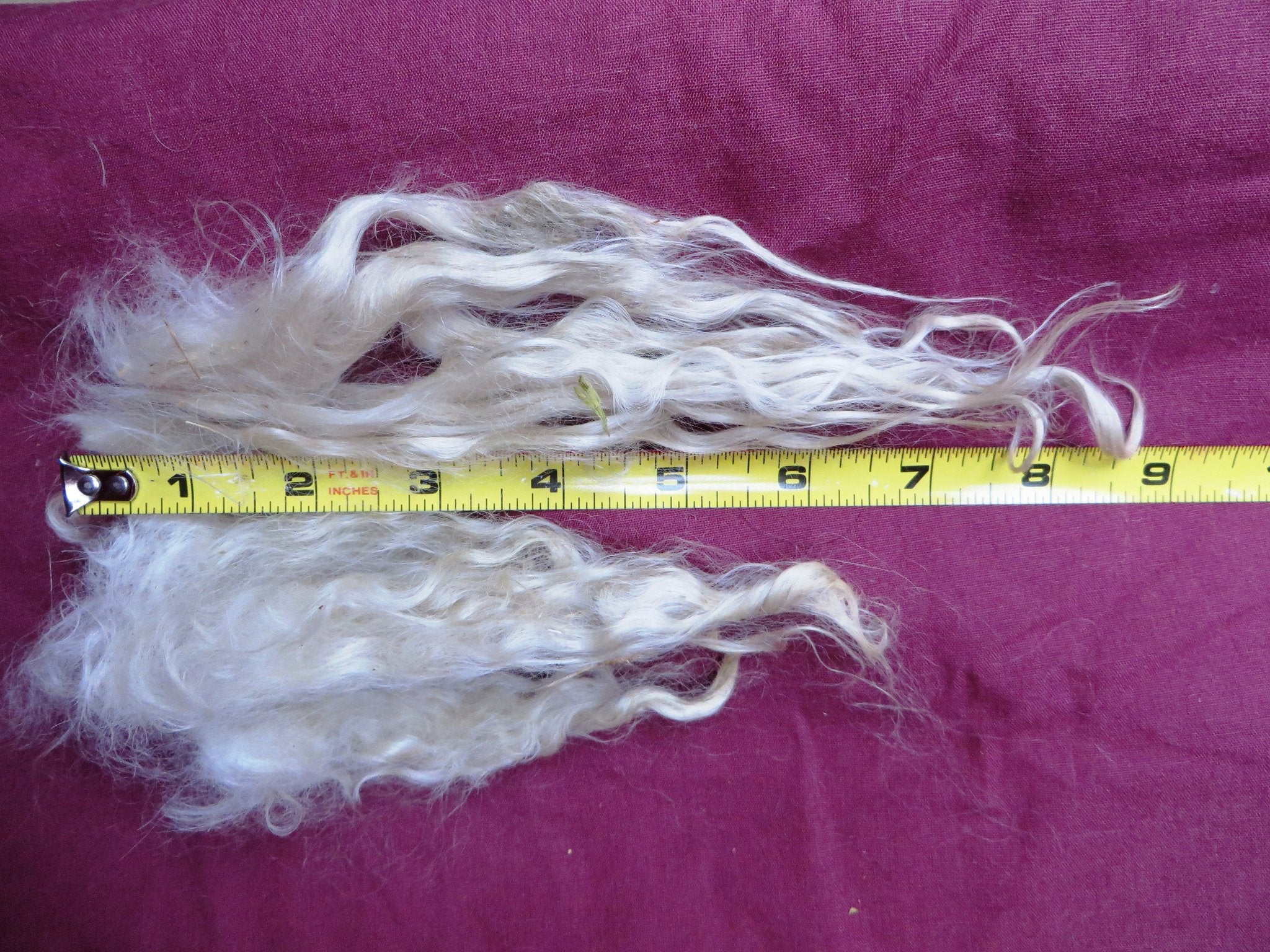 Mohair Fleece Laughing Goat Fiber Farm