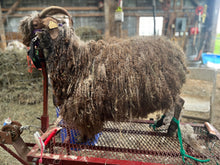 Load image into Gallery viewer, Goat purchase
