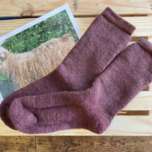 Load image into Gallery viewer, SNUGGLE Socks, CREW Length
