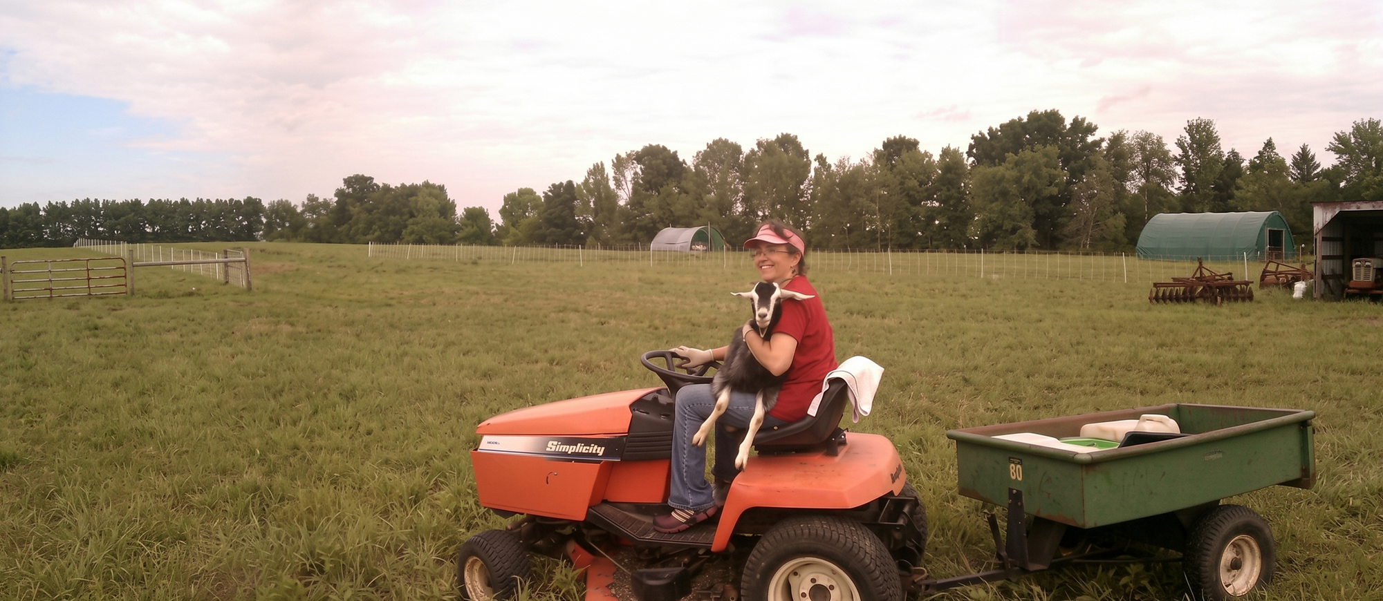 Discover the Story Behind Laughing Goat Fiber and Our Farming Journey