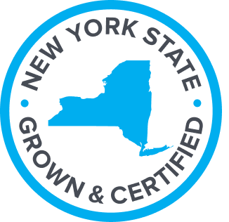 Custom Logo