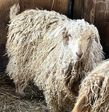 Load image into Gallery viewer, Goat purchase

