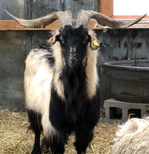 Load image into Gallery viewer, Goat purchase
