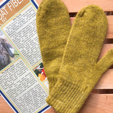 Load image into Gallery viewer, Mittens-Medium-Mostly Mohair
